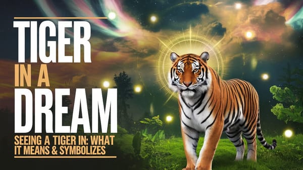 Seeing a Tiger in a Dream: What It Means & Symbolizes